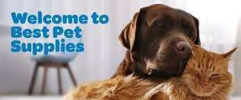 A dog and cat cuddling together, representing loving pet care essentials at pkamazone.
