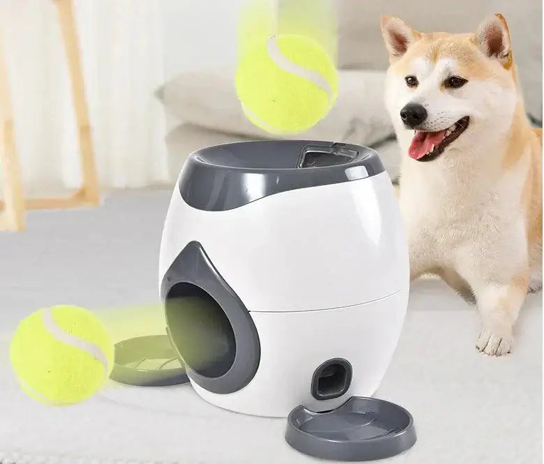 Smart pet feeder with automated feeding schedule and built-in camera, alongside a dog and tennis balls.