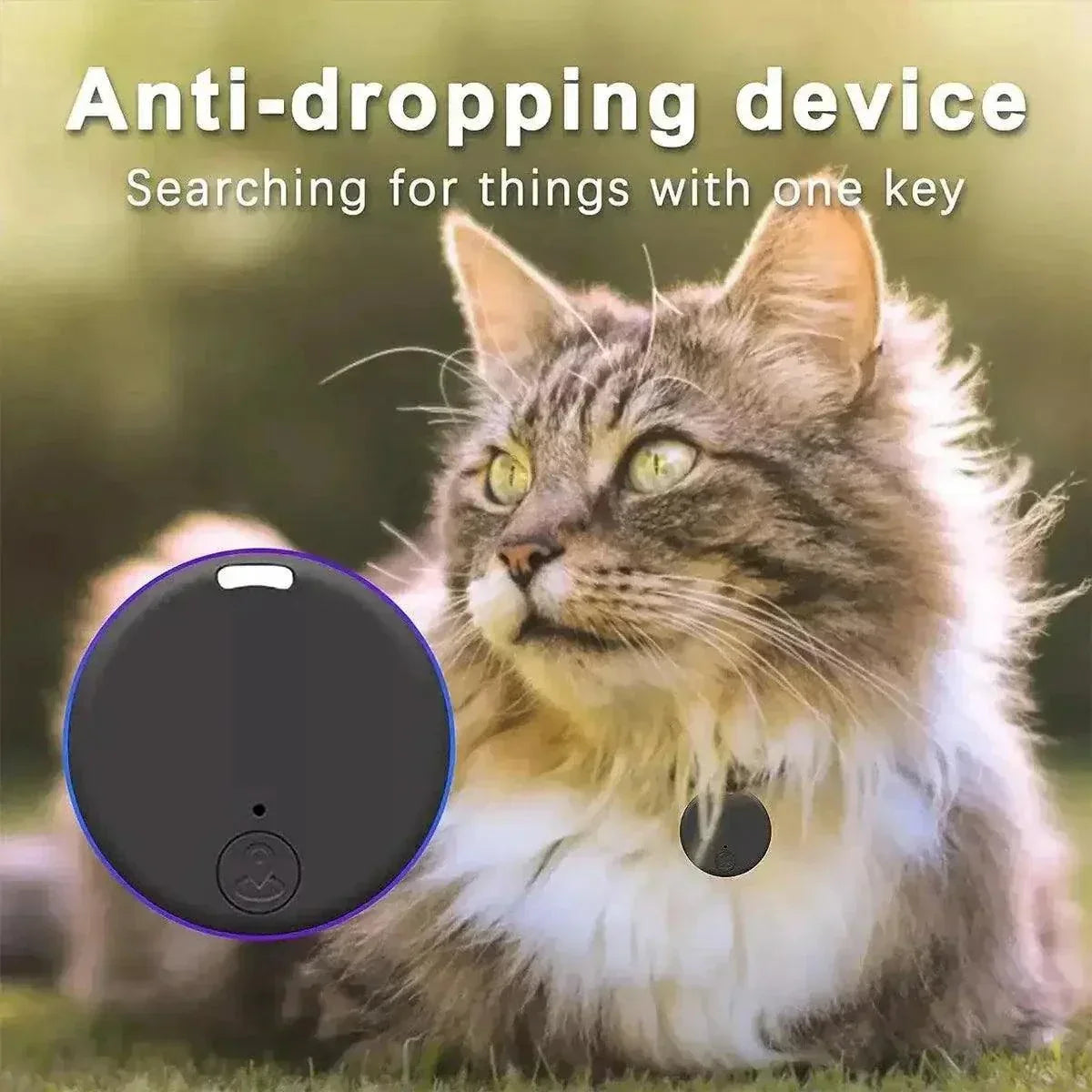 Bluetooth GPS device attached to a cat's collar for tracking.
