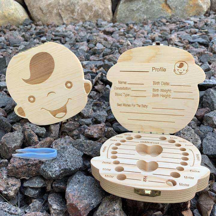 Baby wooden teeth organizer on rocky ground, open to show compartments and profile section.